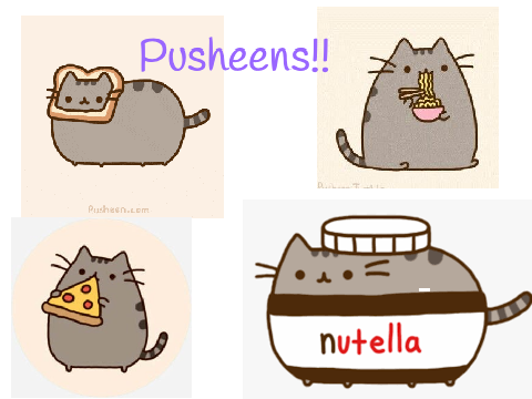 Pusheen thing