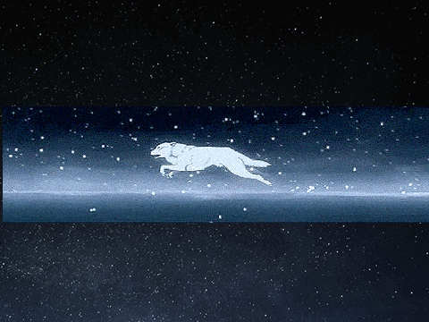 Wolf in sheeps clothing with lyrics(remix)