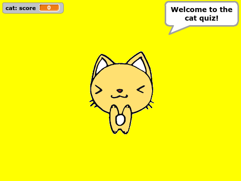 Cat quiz