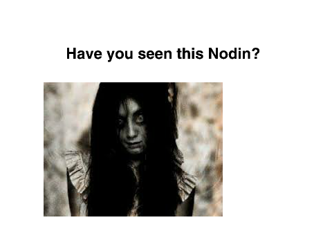 Have you seen this Nodin?