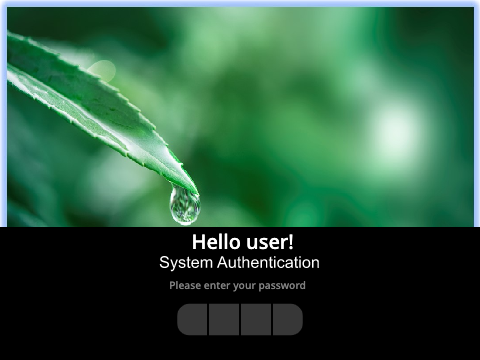 Pindrop OS Login
