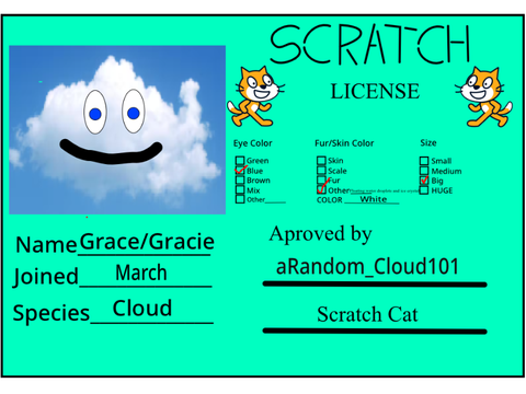 aRandom_Cloud101's Scratch License