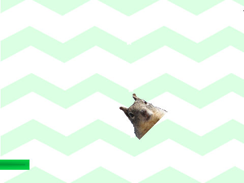 Squirrel bash