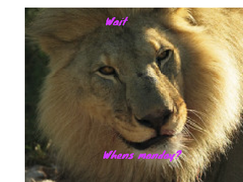 Memes