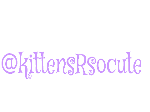 shout out to @kittensRsocute