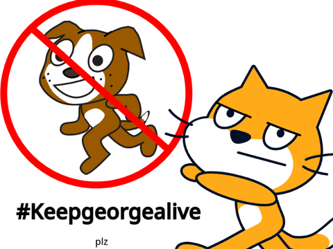 Scratch cat's opinion about scrach dog