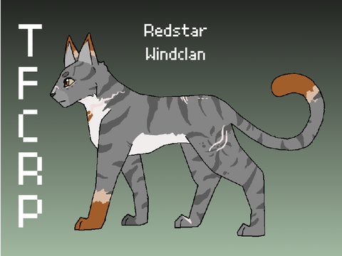 Redstar -- Final Reference
