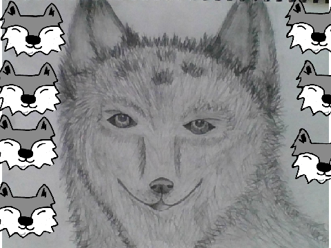 WOLFIE~ For the drawing contest 