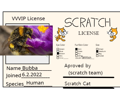 My scratch ID card ! remix