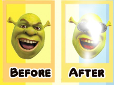 Giving Shrek a mAkOvEr