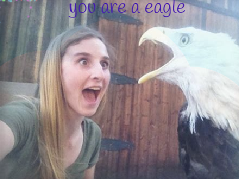 What animal are you
