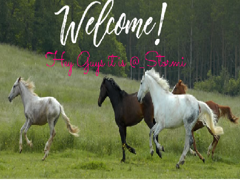 My Banner @_Stormi