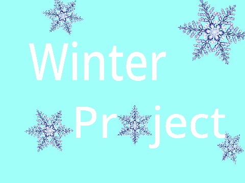 Winter Project