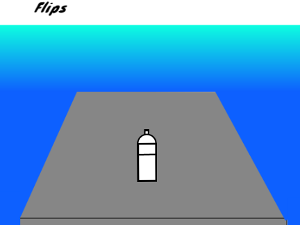  Bottle flip