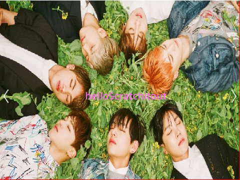sign if you love bts