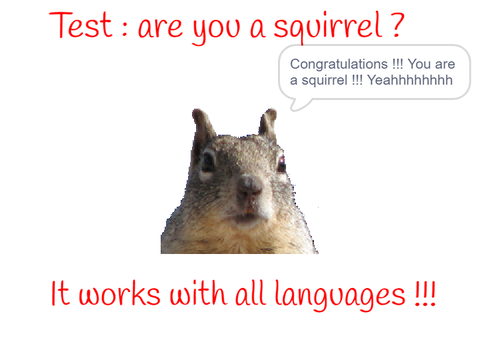 Are you a squirrel ? All languages