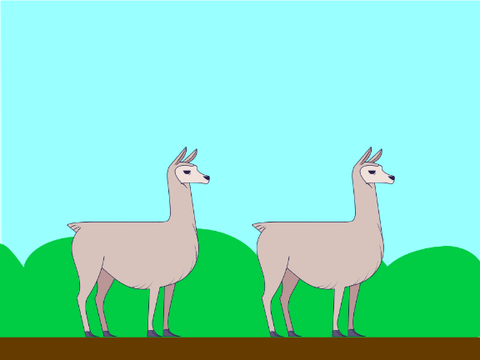 LLAMAS!!!!!!! but it's random everytime