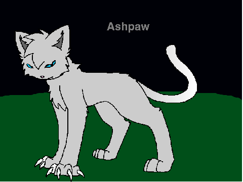 CENTURIES ~Warrior Cat CC~ Special Entry