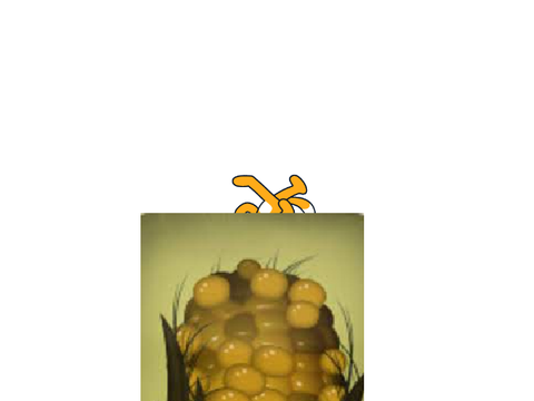 Corn on the Cob