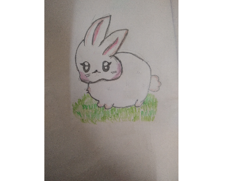 Bunny <3