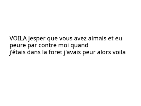 L'affaire des frog boys 