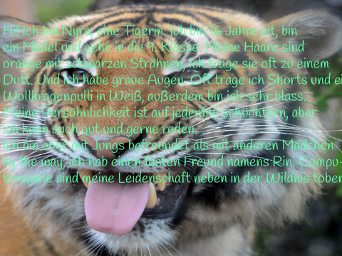 Nyra (Ny), die Tigerin