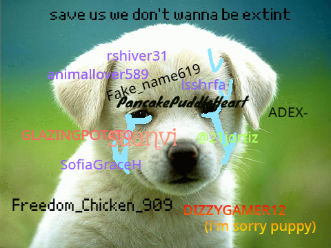 Sign if u hate animal cruelty remix remix origanally by saanvi657 remix remix remix remix rem… remix