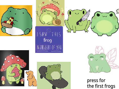 my frogs