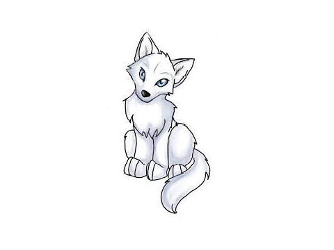 Wolf picture 