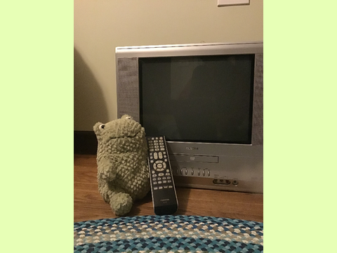 clover the frog + more