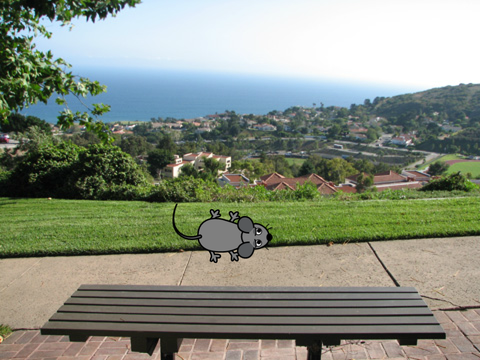 RaT