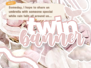 ⊱ twin banner challenge (w kim!) ଓ ୧ *·˚