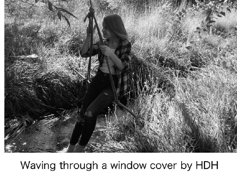Waving through a window cover by HDH