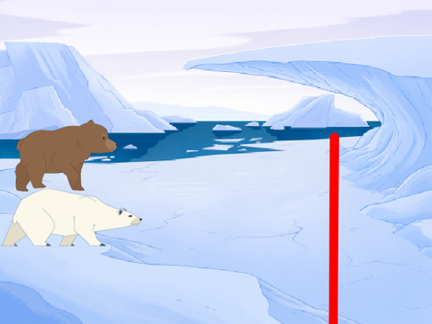 the race.
