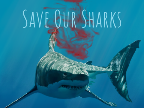 Save Our Sharks <33 remix