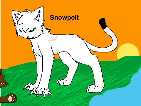 CENTURIES ~Warrior Cat CC~ Special Entry remix