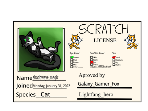 I got the scratch license!