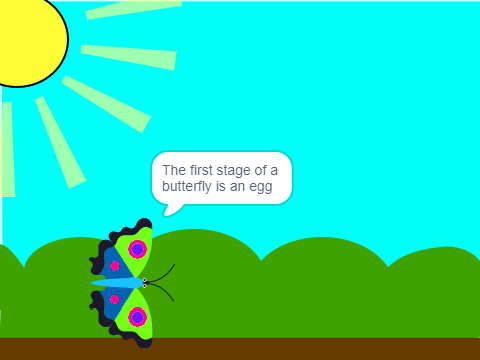 Life cycle of a butterfly