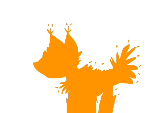 animation test -old-