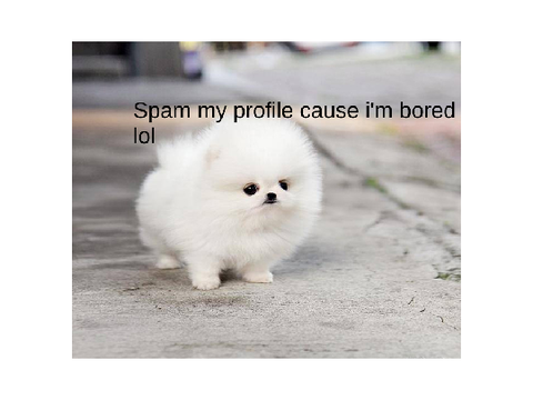 spam me! :)