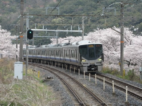 フォトコン用
