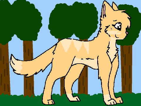 Colouring Contest *open* remix