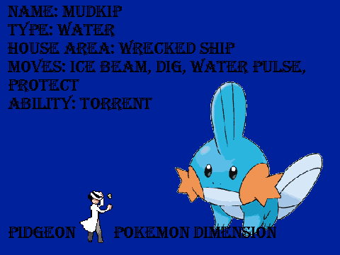 Pokemon Dimension: Pidgeon