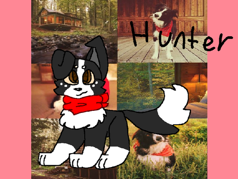 DTAE Hunter