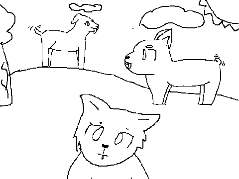 Dog Park CC