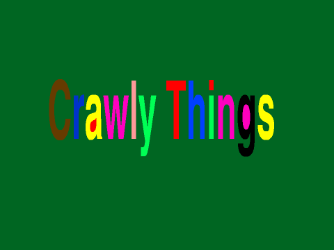 Crawly Things