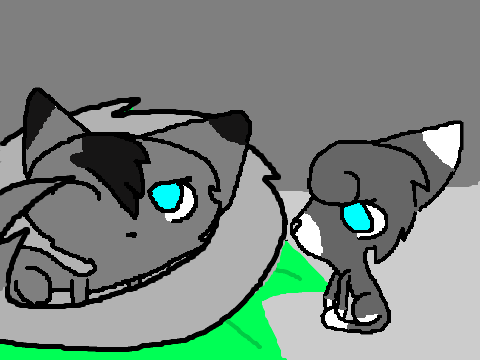 Silverstar's Kits *CC* remix