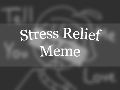 ✦ Stress Relief Meme : Filler