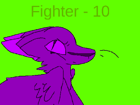 Fighter || 10