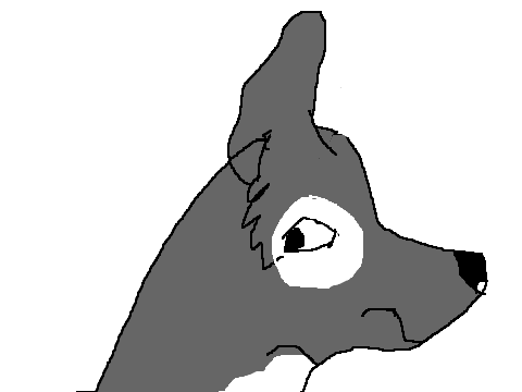 My animation!
